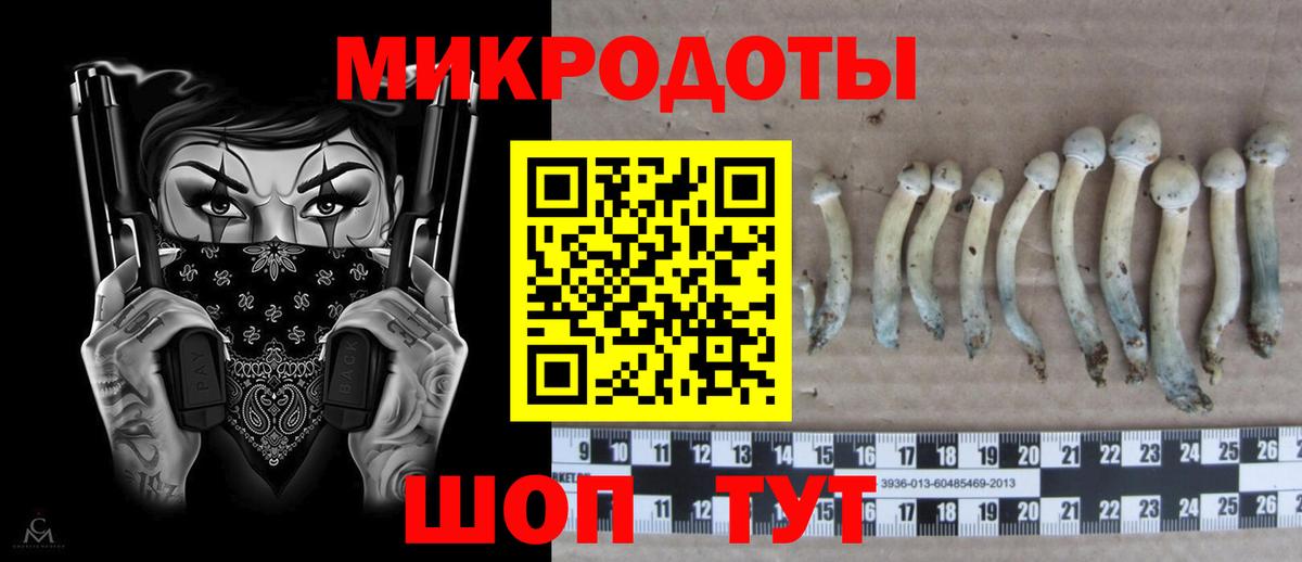 Галлюциногенные грибы Magic Shrooms  Вход с VPN  Великий Устюг  Псилоцибиновые грибы прущие грибы 